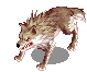 Desert Wolf